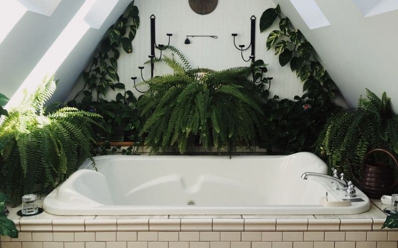 salle-de-bain-plate-vert salle-de-bain-plate-vert