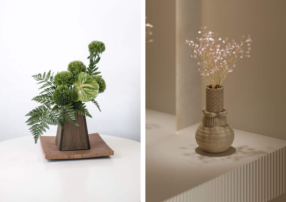 xr:d:DAEuGIBNqhA:367,j:4373393900718533522,t:23080412 vase-plante